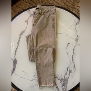 Lane Bryant Plus Size Skinny Jeans